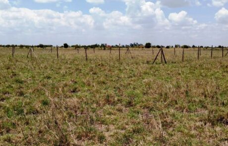 GUIDE ON UNDERSTANDING LAND SIZES AND MEASUREMENTS IN KENYA