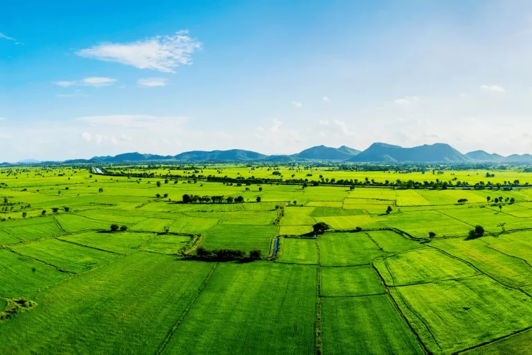 Understanding Land Ownership in Kenya