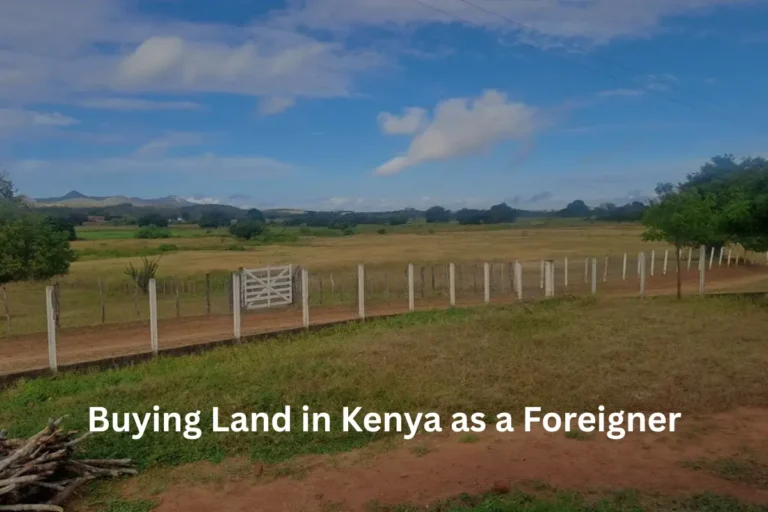 Buying Land in Kenya as a Foreigner
