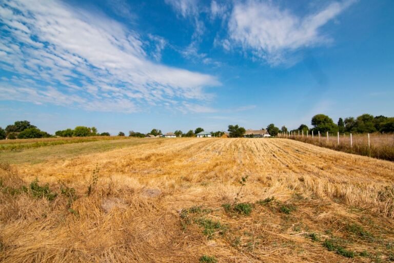 Agnes Ngeki Mutie v Jeremiah Kiily Maitha – Constructive Trust & Land Control Board Consent in Kenya